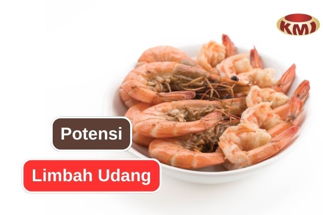 6 Potensi Limbah Udang yang Jarang Diketahui